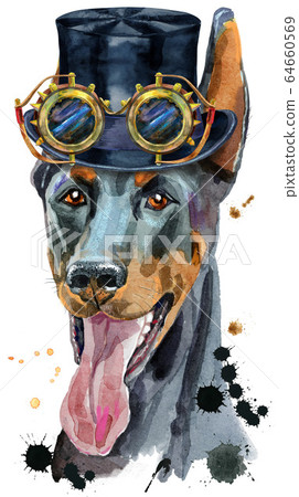 Watercolor portrait doberman in cylinder hat and 64660569