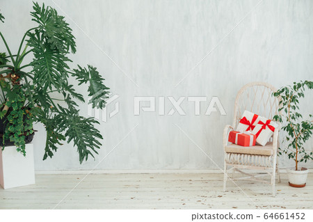 white chair with gifts with home plants in the interior of a vintage gray room 64661452