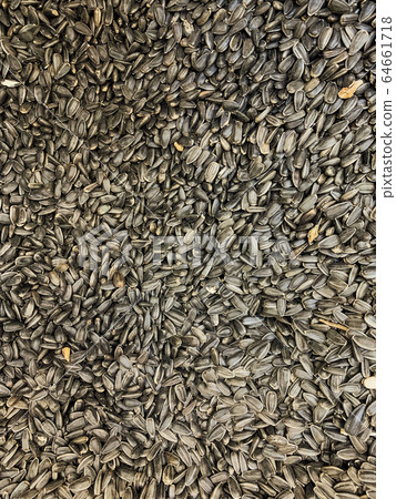 lots of dried black sunflower seeds for eating background 64661718