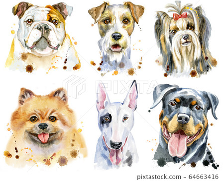 Set of watercolor portraits of dogs for decoration Set of watercolor portraits of dogs for decoration 64663416
