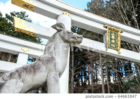 Mitsumine Shrine of mountain dog faith 64663847