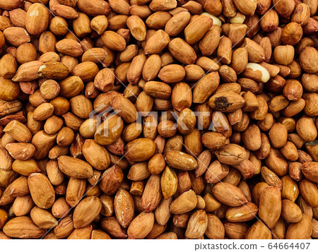 lots of peanuts for eating like the background lots of peanuts for eating like the background 64664407