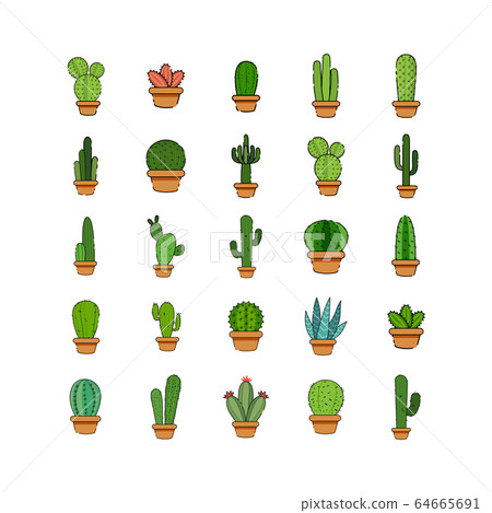 Set of cactus in a potplants Set of cactus in a potplants 64665691