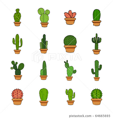Set of cactus in a potplants Set of cactus in a potplants 64665693