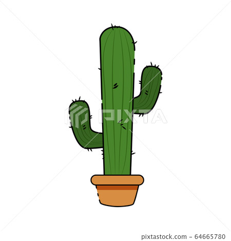 Isolated cactus icon Isolated cactus icon 64665780