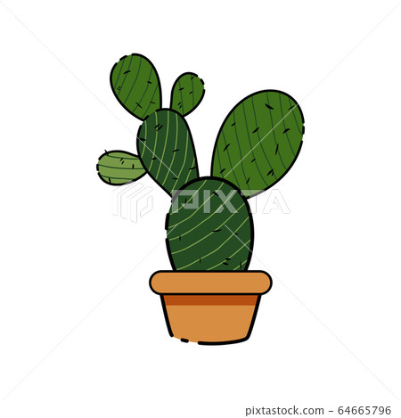 Isolated cactus icon 64665796