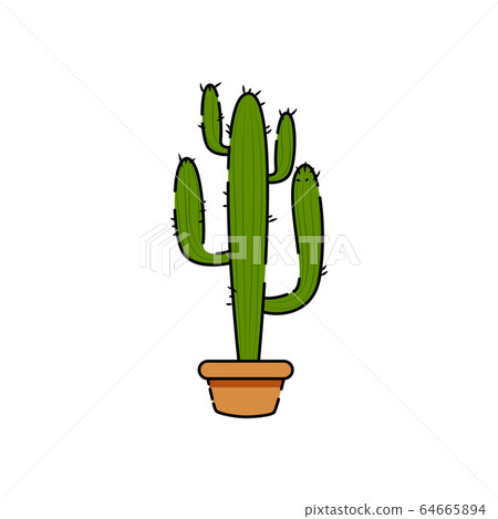 Isolated cactus icon Isolated cactus icon 64665894