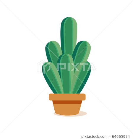 Isolated cactus icon 64665954