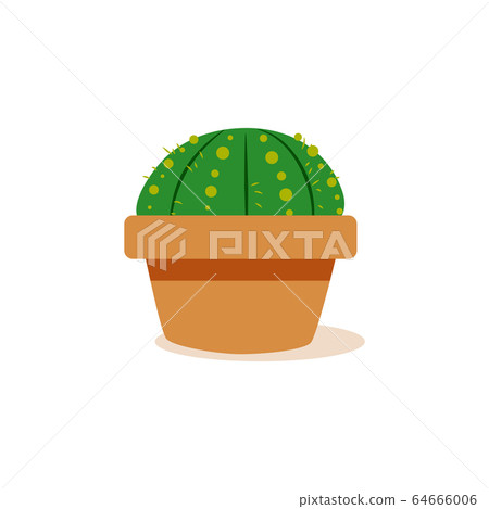 Isolated cactus icon 64666006