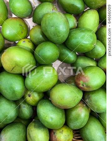 lots of delicious ripe green avocados for eating the background lots of delicious ripe green avocados for eating the background 64666009