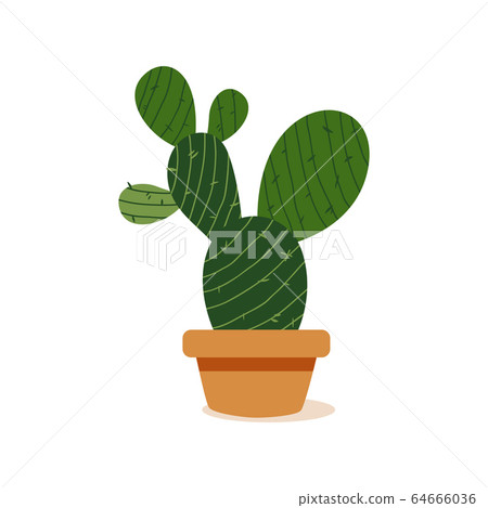 Isolated cactus icon Isolated cactus icon 64666036