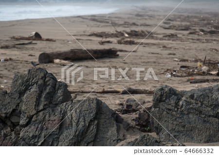 自然災害後立即顯示的圖像 64666332