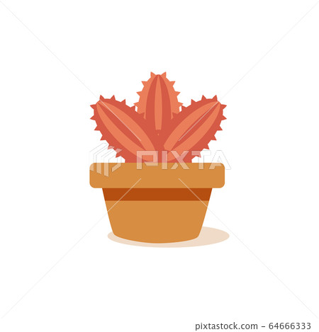 Isolated cactus icon 64666333