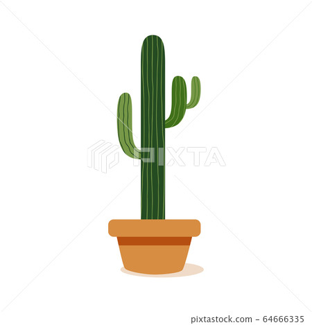 Isolated cactus icon Isolated cactus icon 64666335
