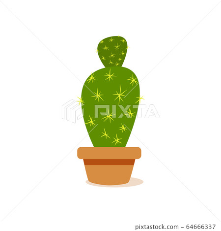 Isolated cactus icon 64666337