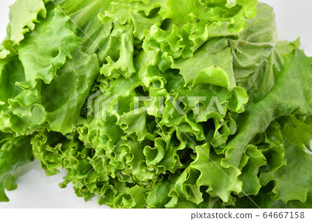 綠葉蔬菜 綠葉蔬菜 64667158