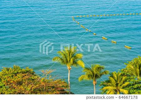 Beautiful tropical nature of beach sea ocean bay around coconut palm tree 64667178
