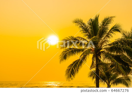 Beautiful nature with palm tree around sea ocean beach at sunset or sunrise Beautiful nature with palm tree around sea ocean beach at sunset or sunrise 64667276