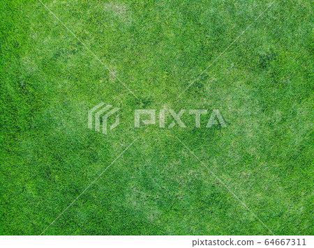 top view of green grass texture background.  64667311