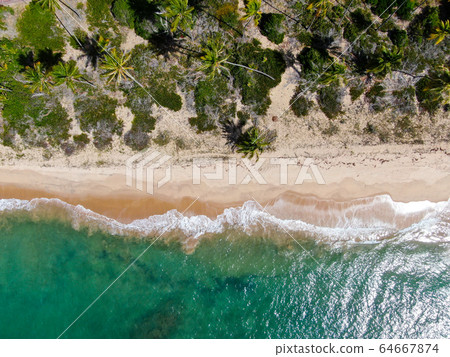 Aerial view of tropical ocean and palm trees forest during sunny day. Praia do Forte 64667874