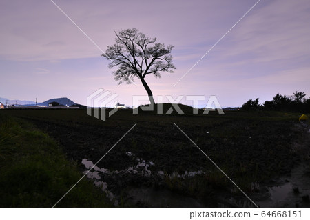 小宮故事 小宮故事 64668151