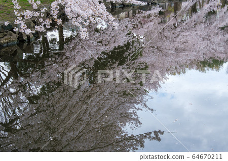 Reflecting sky Reflecting sky 64670211
