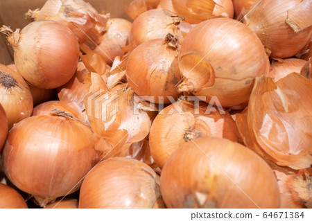 Around and a lot of onions 64671384