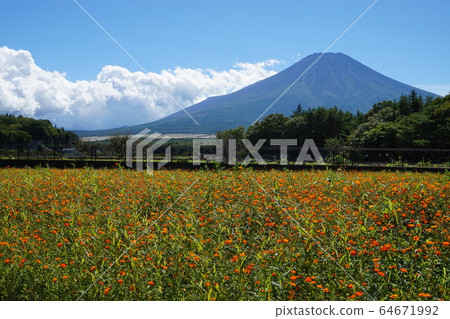 Mount Fuji Mount Fuji 64671992