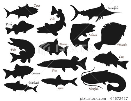 Silhouette of fishes, sea and river fishing icons 64672427