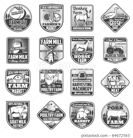 Agriculture farming icons, cattle and poultry farm Agriculture farming icons, cattle and poultry farm 64672563