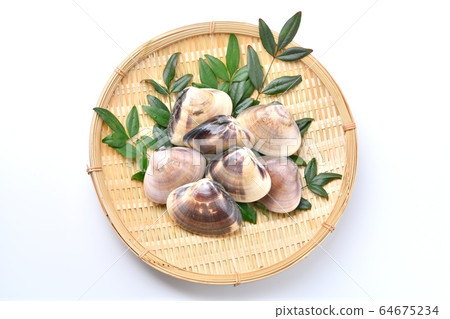 Large clams, clams, clams, shellfish, high-quality seafood ingredients, produced in Chiba Prefecture. It is in an unheated state. Large clams, clams, clams, shellfish, high-quality seafood ingredients, produced in Chiba Prefecture. It is in an unheated state. 64675234