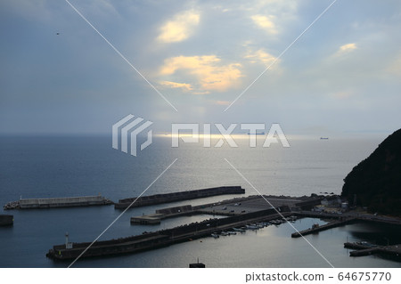 Miscellaneous 64675770