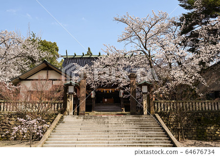 Spring of Higashi Chaya District Spring of Higashi Chaya District 64676734