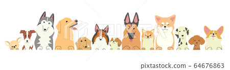 Rows of dogs of all kinds riding on their paws Rows of dogs of all kinds riding on their paws 64676863