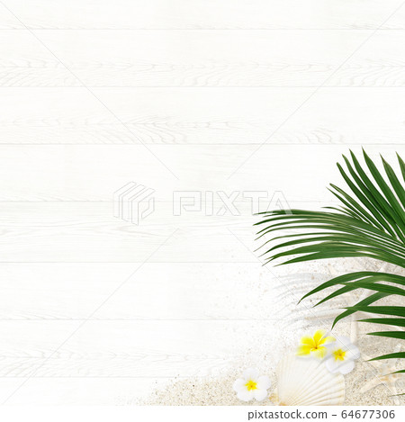 背景熱帶木 背景熱帶木 64677306