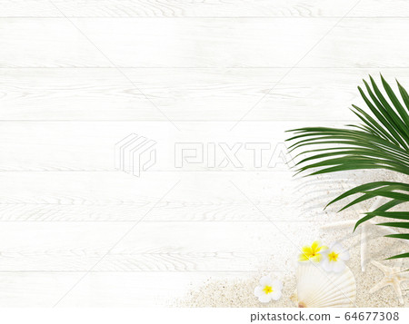 Background-tropical-wood 64677308