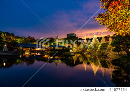 名古屋市愛知縣城鳥花園,白雪皚皚的夜景,照亮的秋葉 名古屋市愛知縣城鳥花園,白雪皚皚的夜景,照亮的秋葉 64677564