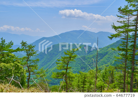Mountains seen from the summit of Oku-Amari in Yamanashi to the south (Kushigata, Maruyama, etc.) Mountains seen from the summit of Oku-Amari in Yamanashi to the south (Kushigata, Maruyama, etc.) 64677719