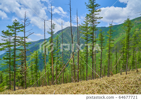 View from the vicinity of the summit of Mt. 64677721