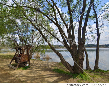 Nature, natural environment, natural scenery, landscape photography, park, North Han River, Yangshuo, Yangpyeong, water garden, mountain, tree, forest, river, sky, 64677744