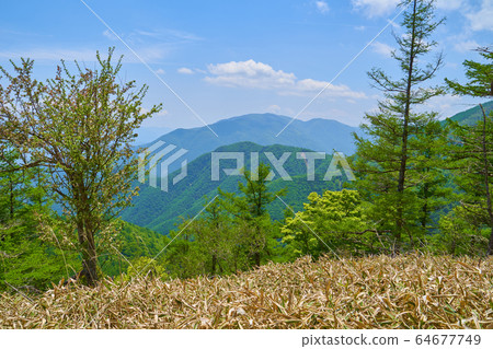 Mountains seen from the summit of Oku-Amari in Yamanashi to the south (Kushigata, Maruyama, etc.) Mountains seen from the summit of Oku-Amari in Yamanashi to the south (Kushigata, Maruyama, etc.) 64677749