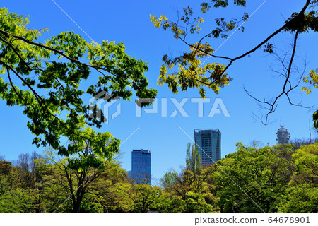 新鮮的綠色代代木公園 新鮮的綠色代代木公園 64678901