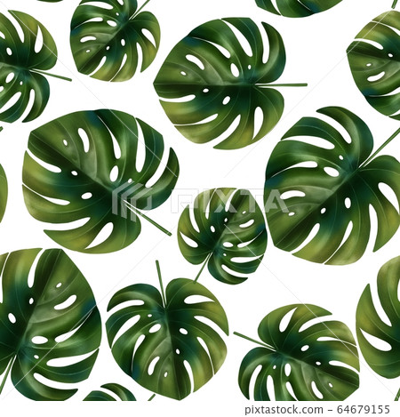 Palm monstera seamless pattern. Green tropical background Palm monstera seamless pattern. Green tropical background 64679155