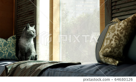 cozy home concept cat sits on a mattress by the cozy home concept cat sits on a mattress by the 64680126