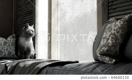 cozy home concept cat sits on a mattress by the 64680130