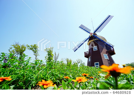 Dutch garden at Suncheon Bay National Garden, Suncheon City, Jeollanam-do 64680928