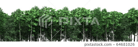 Green trees isolated on white background Forest - Stock Illustration ...
