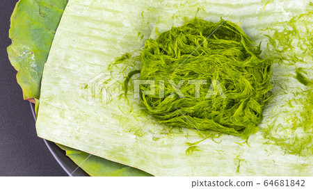 Freshwater green algae scientific name is Spirogyra sp. Freshwater green algae scientific name is Spirogyra sp. 64681842