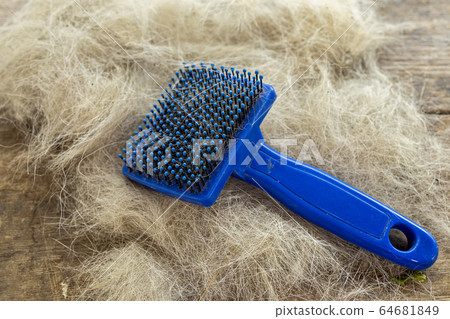 Bunch of dog hair after grooming and cleaning with 64681849