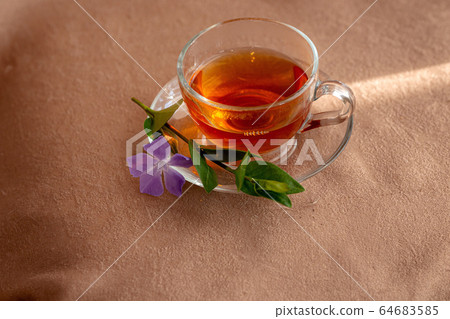 glass cup of tea with a plate by the window 64683585